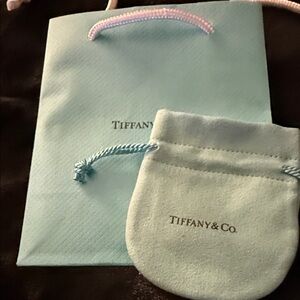 Tiffany & Co. Aqua Gift Bag and Pouch Set